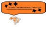 GOLDEN TAXI TRANSPORTES EXECUTIVO